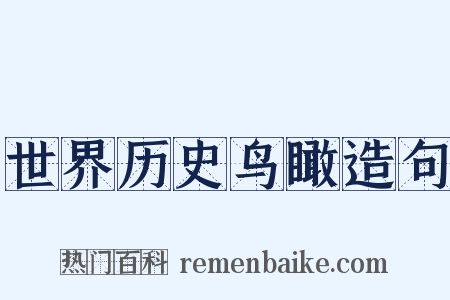 世界历史鸟瞰造句是什么意思的图片